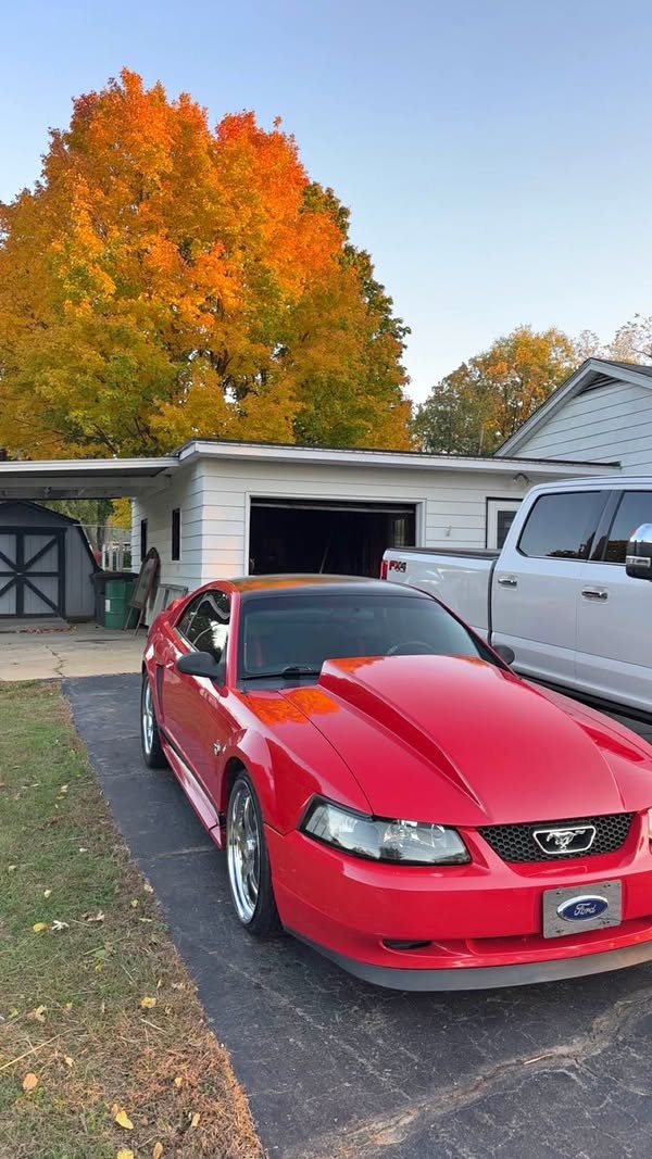 2003 Ford Mustang - GT Coupe 2D