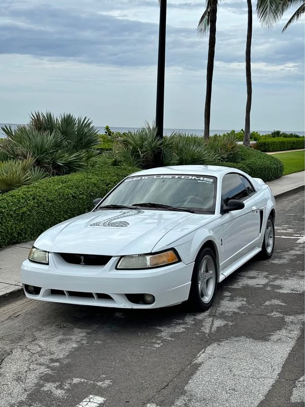 1999 Ford Mustang - COBRA