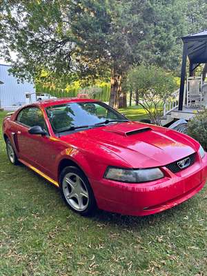 2002 Ford Mustang - GT Premium Coupe 2D