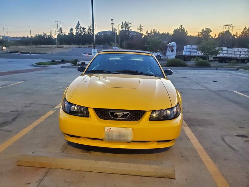 2004 Ford Mustang - Convertible 2D
