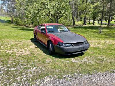 2003 Ford Mustang - Coupe 2D