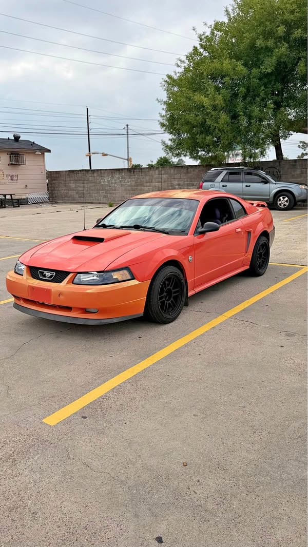 2004 Ford Mustang - V6 Coupe 2D