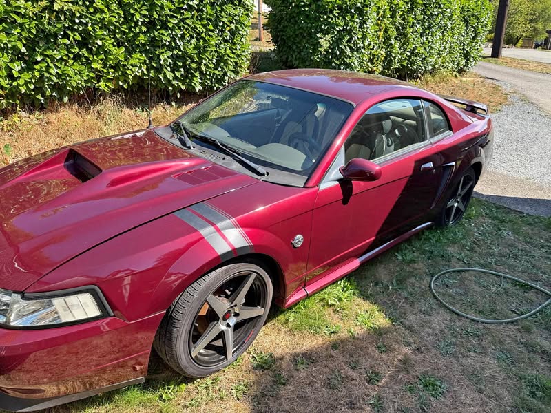 2004 Ford Mustang 40th Anniversary Edition