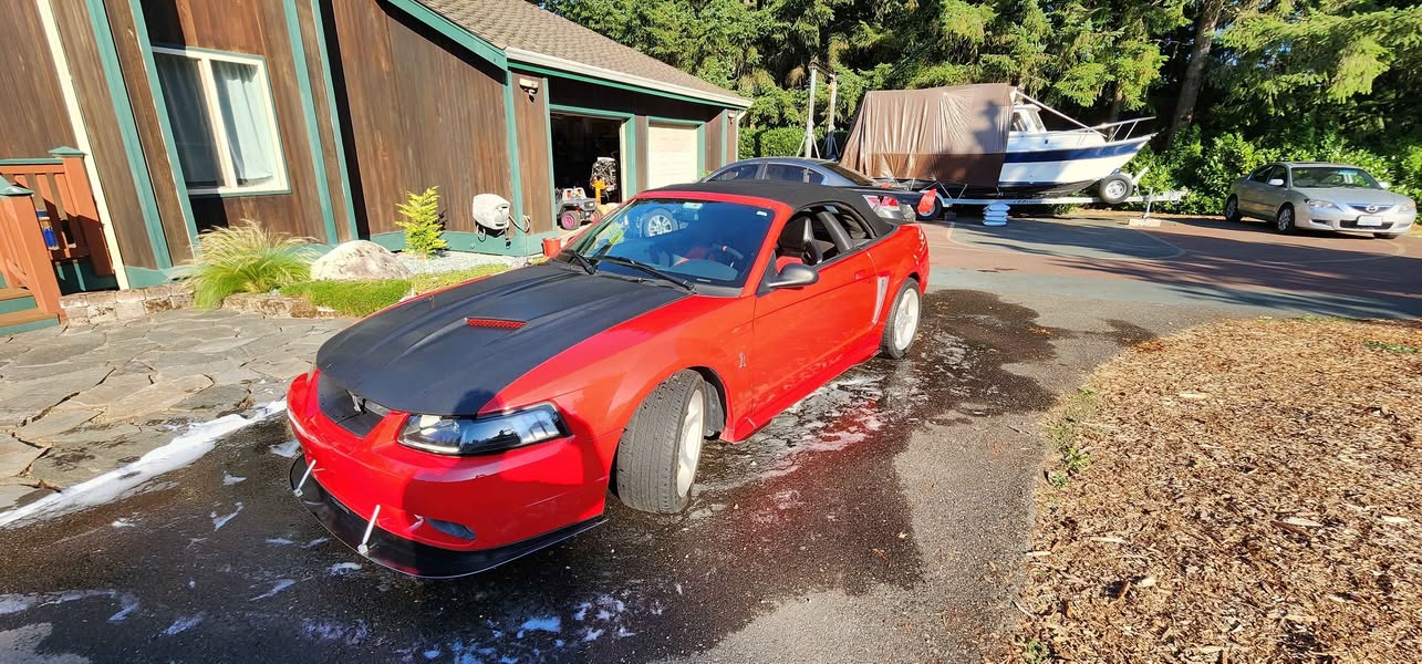 1999 Ford Mustang - Cobra SVT Convertible 2D