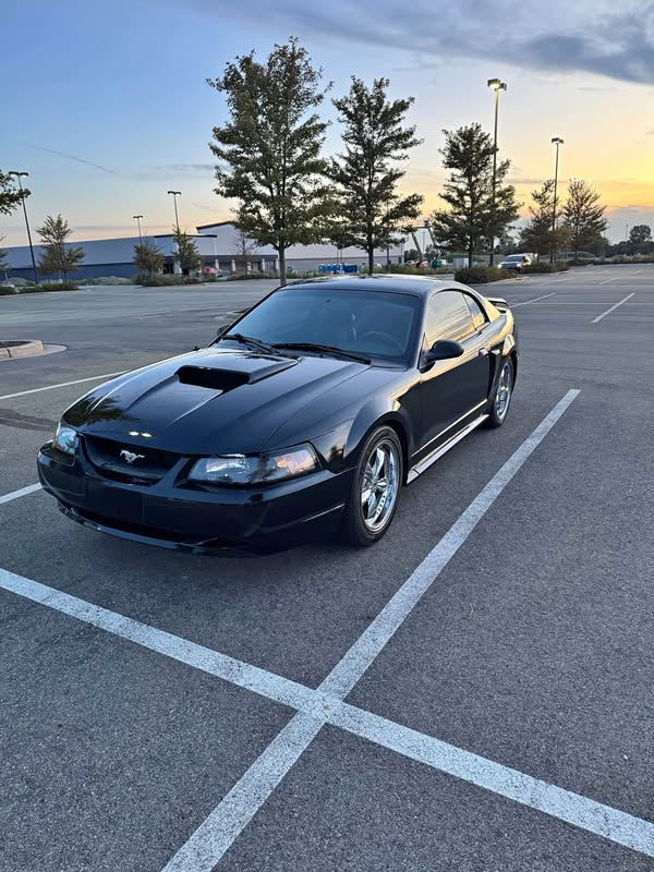 2003 Ford Mustang - GT Coupe 2D