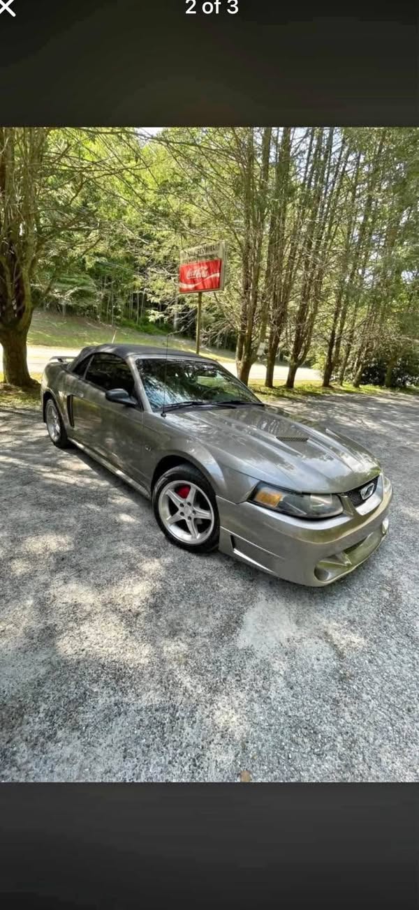 2002 Ford Mustang - Deluxe Convertible 2D