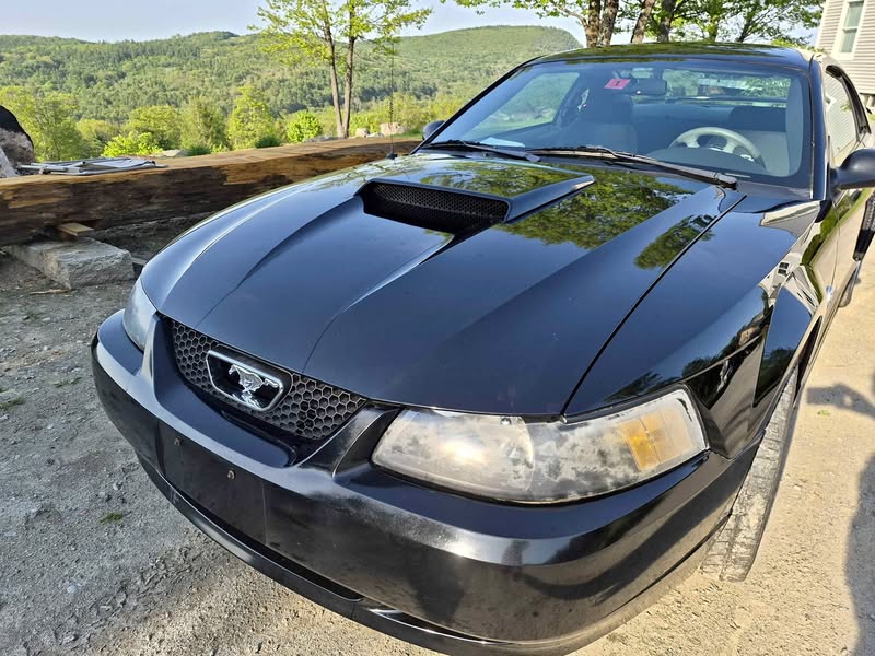 2004 Ford Mustang - GT Deluxe Coupe 2D