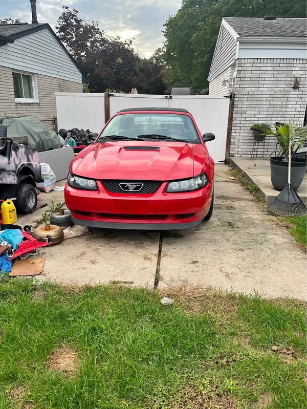 2004 Ford Mustang - V6 Premium Convertible 2D