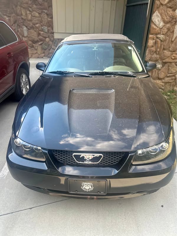 2000 Ford Mustang - Convertible 2D