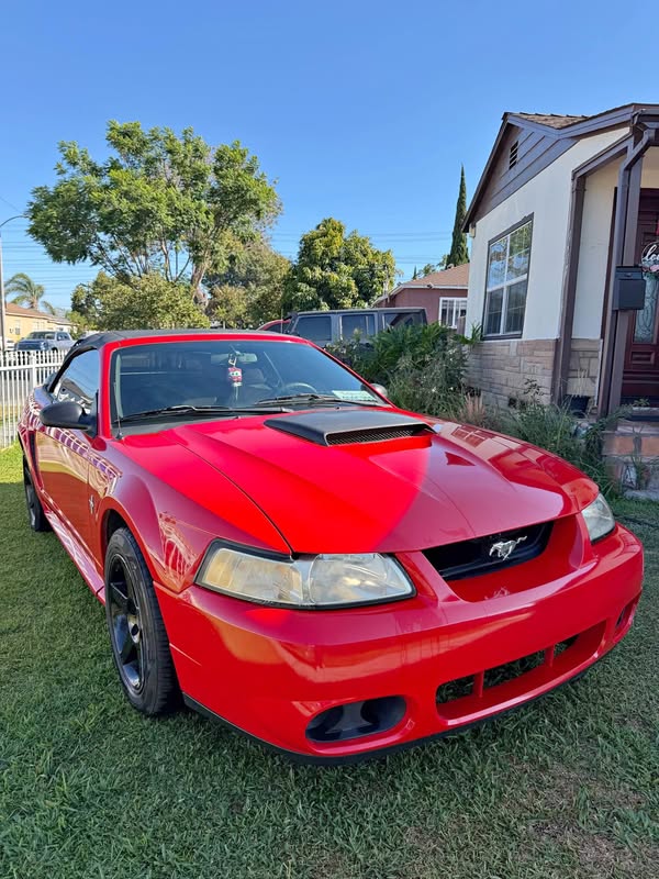 2000 Ford Mustang - GT Convertible 2D
