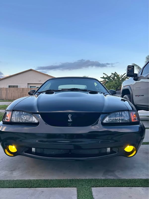 1997 Ford Mustang - Cobra SVT Convertible 2D