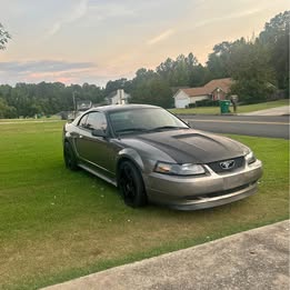 2001 Ford Mustang - New edge