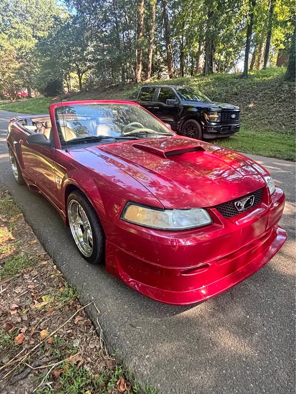 1999 Ford Mustang - GT Premium Convertible 2D