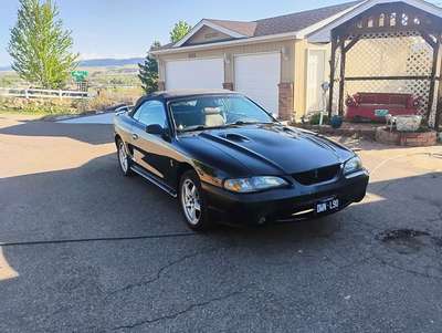 1998 Ford Mustang - Cobra SVT Convertible 2D