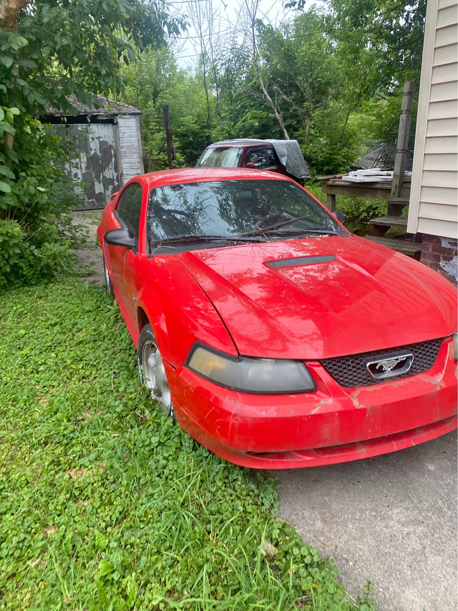 2001 Ford Mustang - Coupe 2D