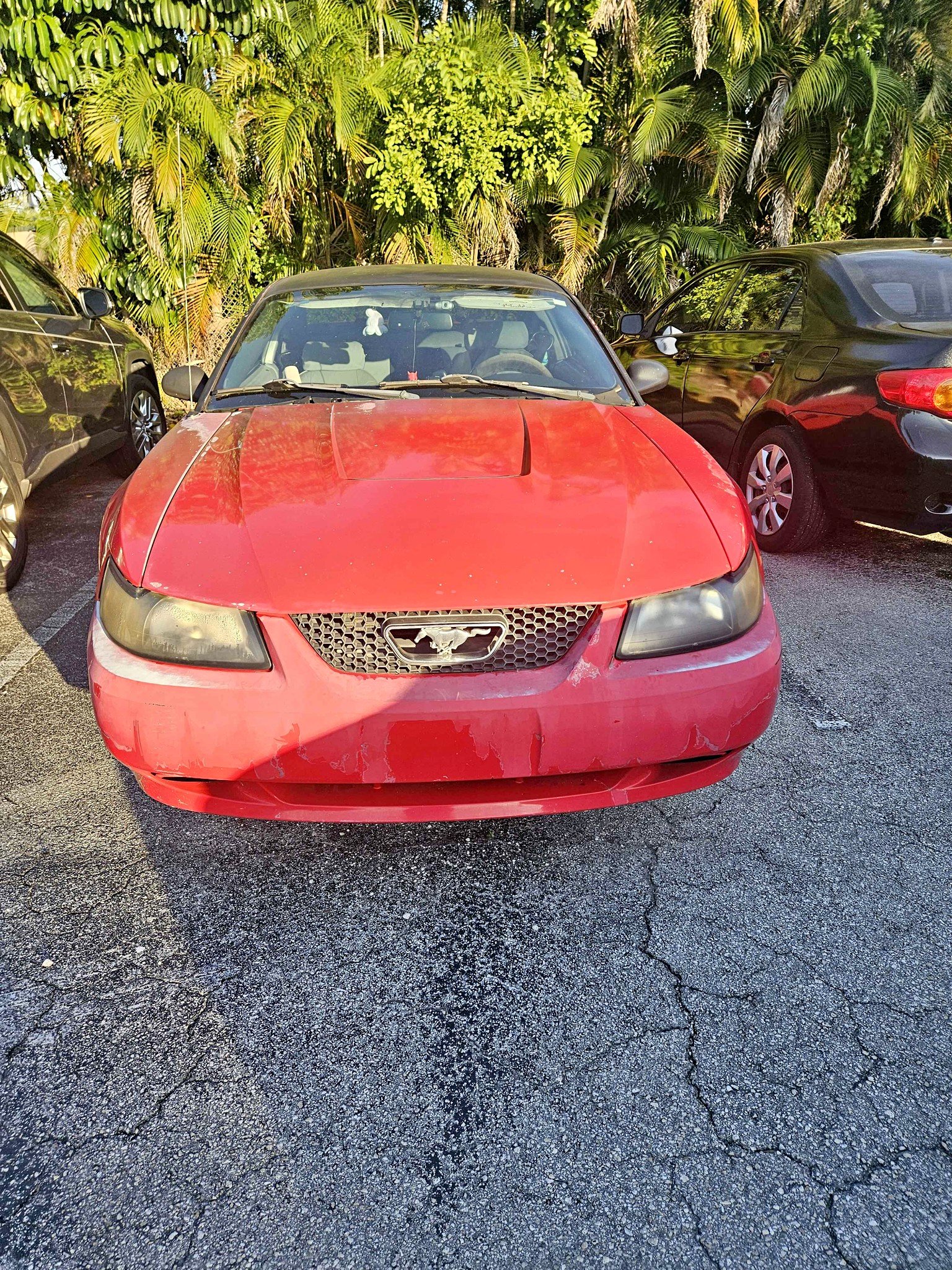 2003 Ford Mustang - Coupe 2D