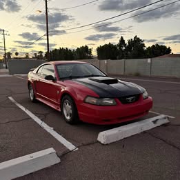 2004 ford mustang 40th anniversary