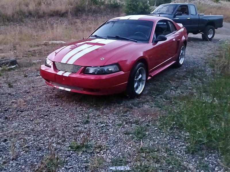 1999 Ford Mustang - GT Coupe 2D