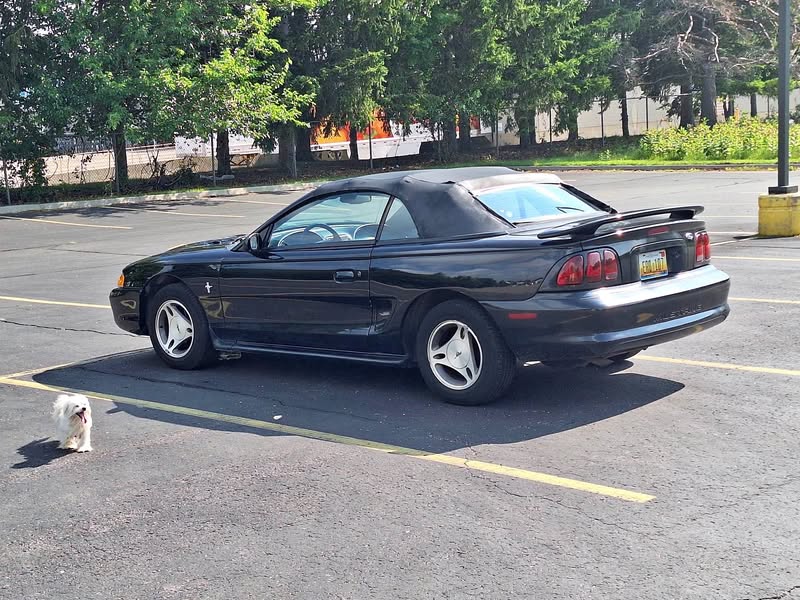1998 Ford Mustang - V6 Convertible 2D