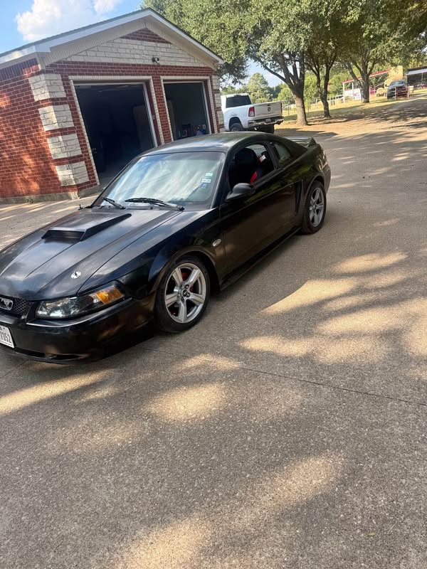 2000 Ford Mustang - V6 Coupe 2D