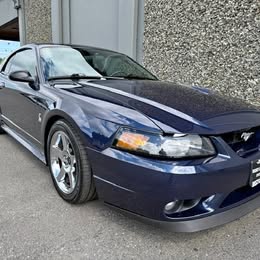 2001 Ford MUSTANG COBRA