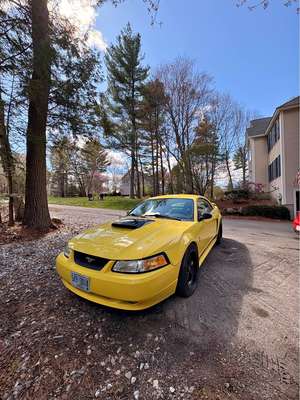 2001 Ford Mustang - V6 Coupe 2D