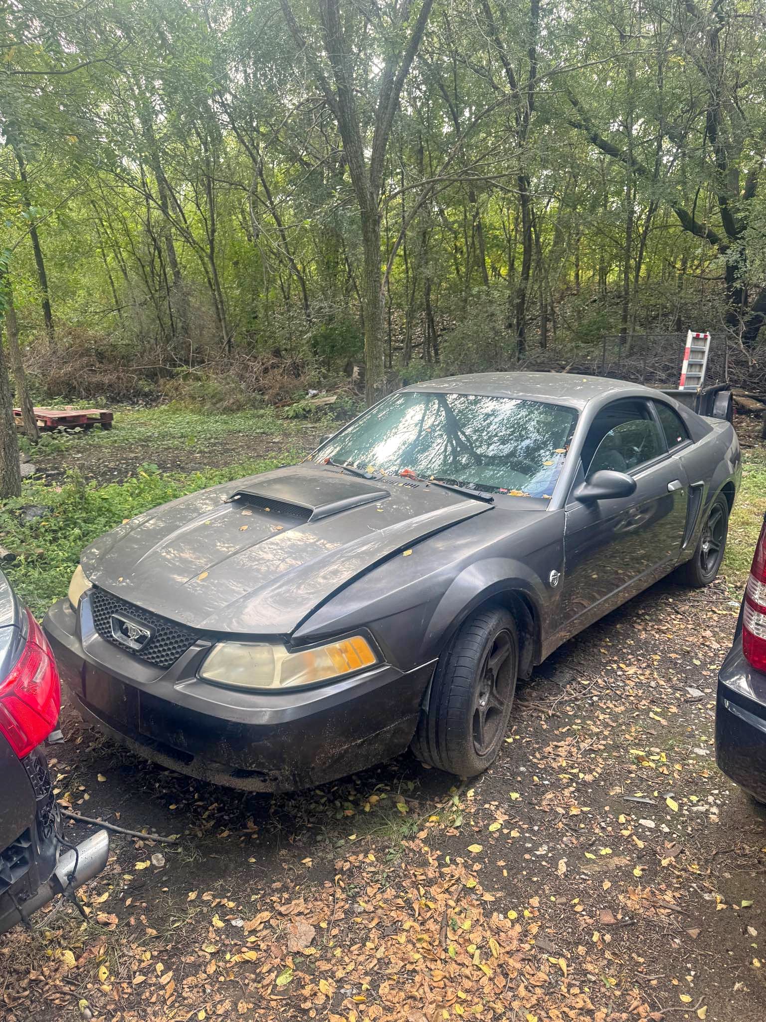2003 Ford Mustang - V6 Premium Coupe 2D