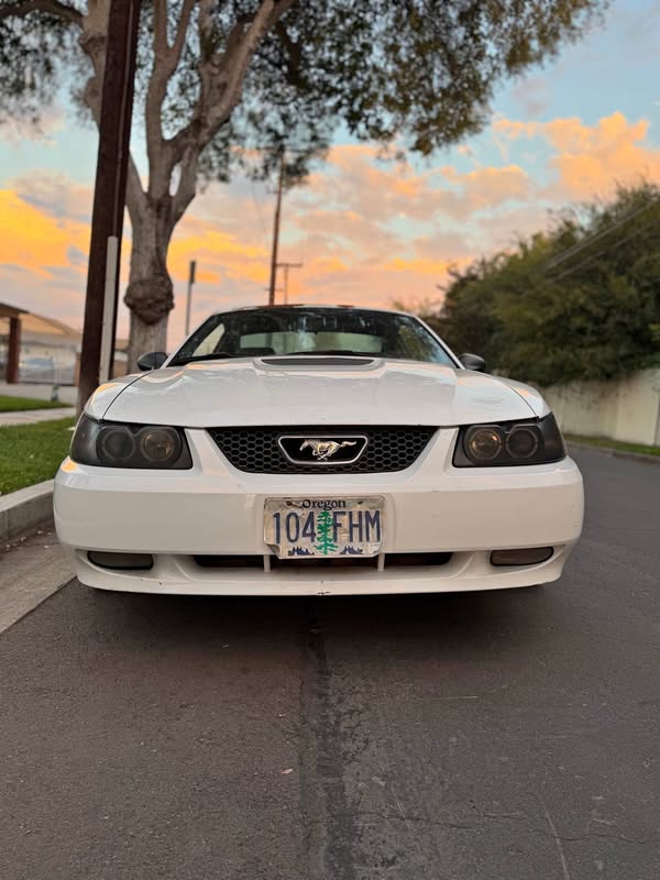 2000 Ford Mustang - 4.6L with auto trans
