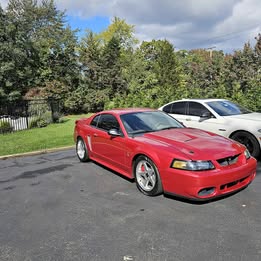 2001 Ford Mustang - Cobra Coupe 2D