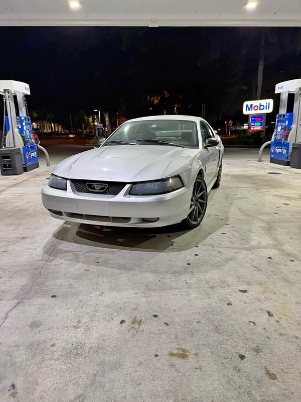 2003 Ford Mustang - V6 Premium Coupe 2D