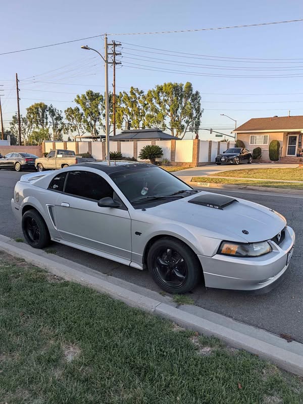 2000 Ford Mustang - GT Coupe 2D