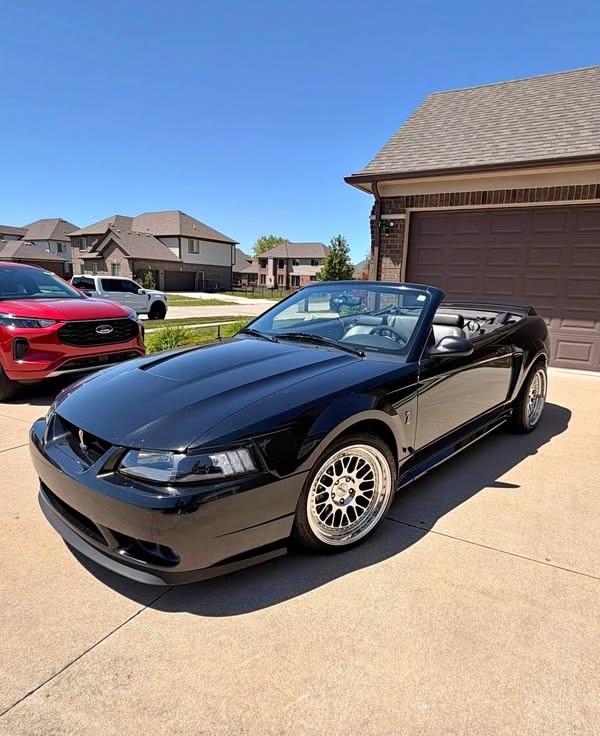 1999 Ford Mustang - Cobra