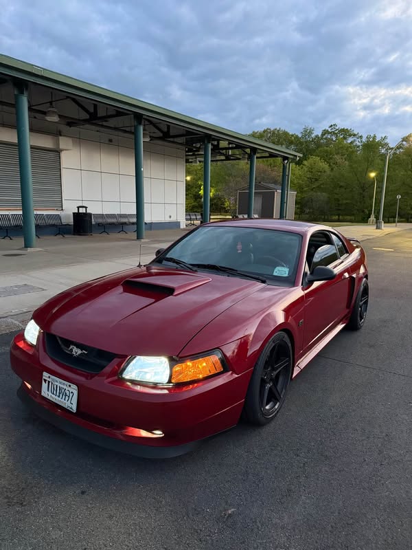 2001 Ford Mustang - GT Premium Coupe 2D