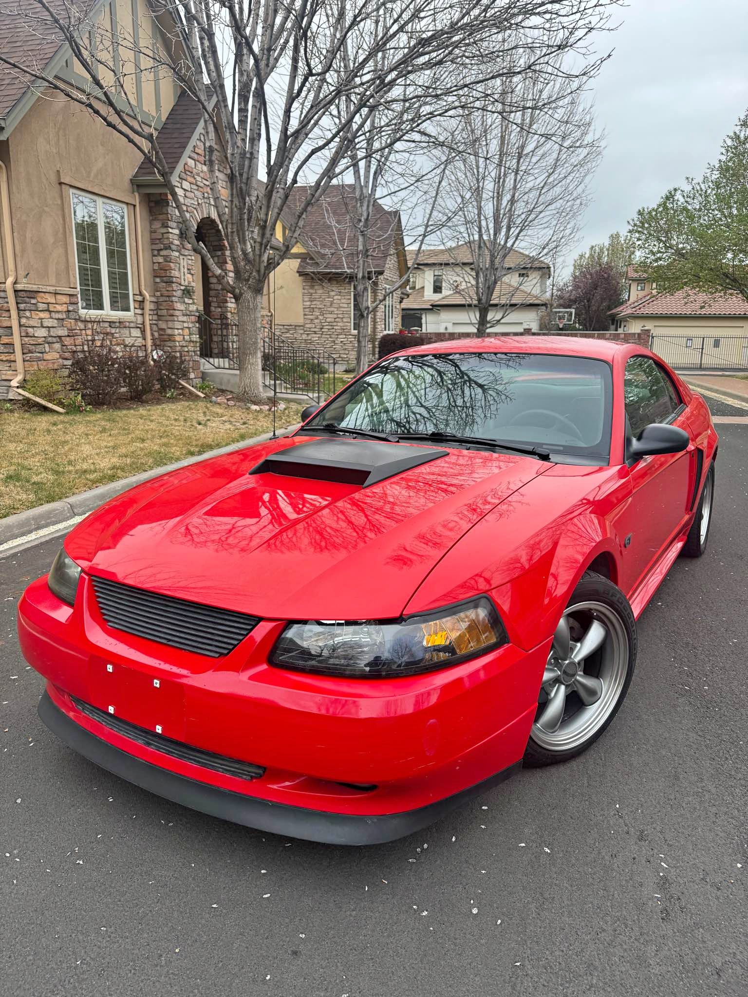 2000 Ford Mustang - GT Coupe 2D