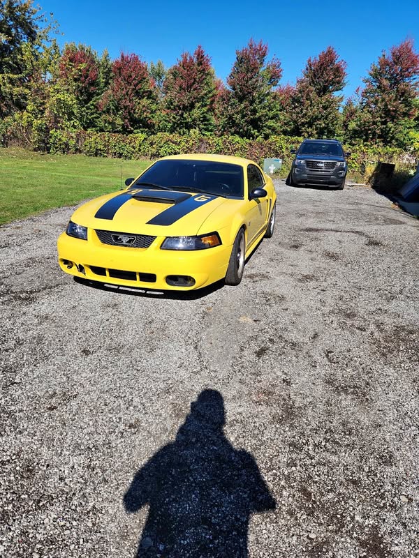 2000 Ford Mustang - GT Coupe 2D