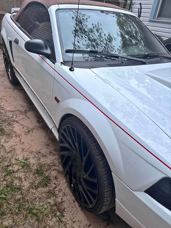 2000 Ford Mustang - GT Deluxe Convertible 2D