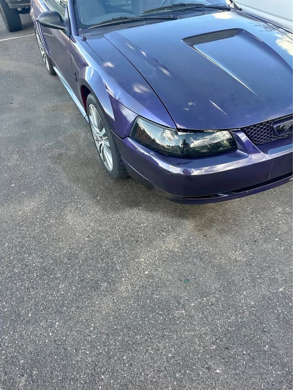 2000 Ford Mustang - V6 Premium Coupe 2D
