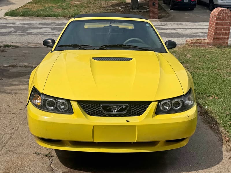 2003 Ford Mustang - V6 Convertible 2D