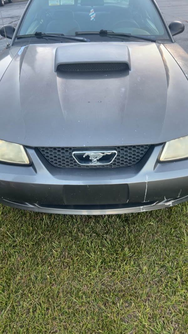 2003 Ford Mustang - V6 Coupe 2D
