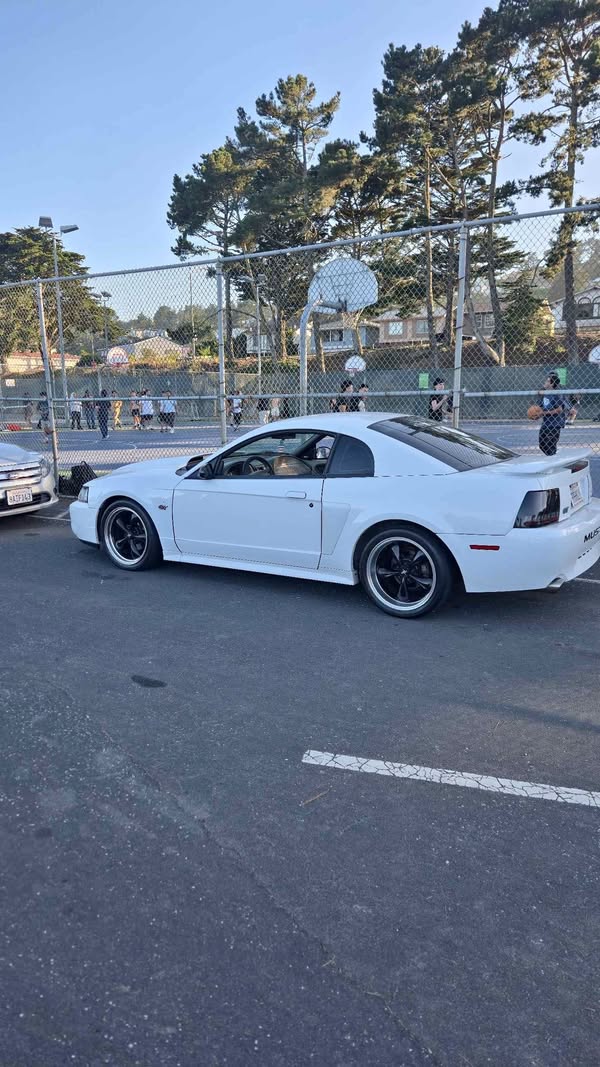 2002 Ford Mustang - Coupe 2D