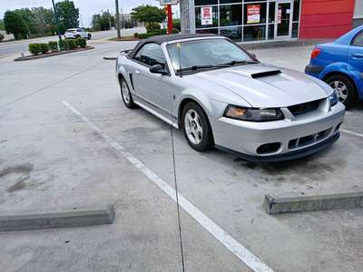 2000 Ford Mustang - Convertible 2D