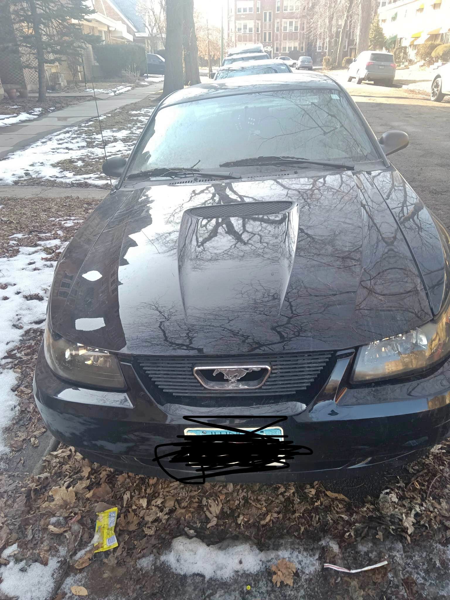 2003 Ford Mustang - Coupe 2D