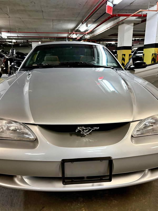 1998 Ford Mustang - GT COUPE
