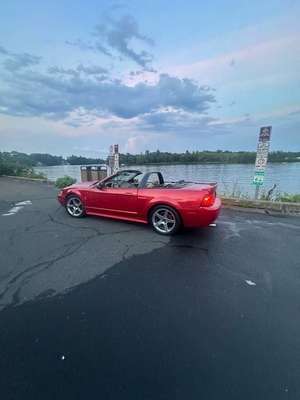 2002 Ford Mustang Cobra SVT Convertible Built Motor, D1SC,...