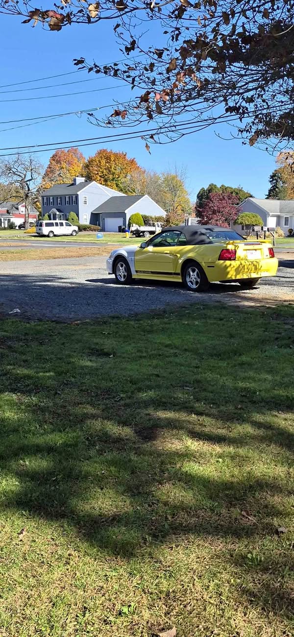 2002 Ford Mustang - V6 Convertible 2D
