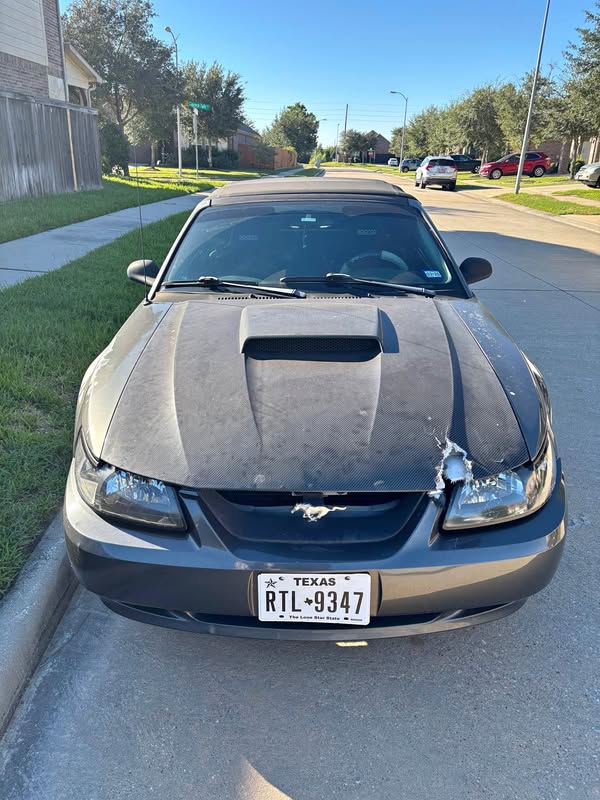 2004 Ford Mustang - GT Convertible 2D