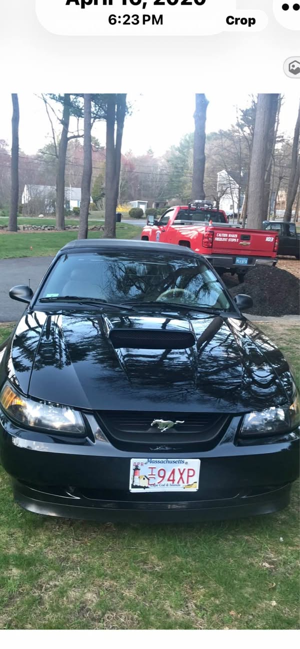 2004 Ford Mustang