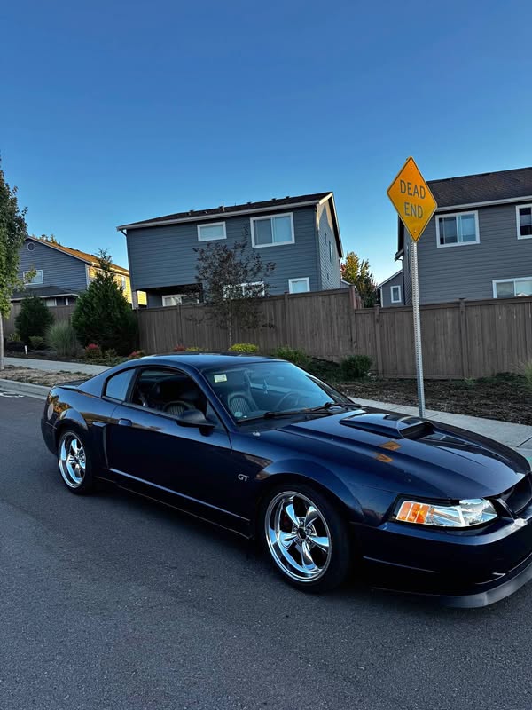 2001 Ford Mustang - BULLITT Coupe 2D