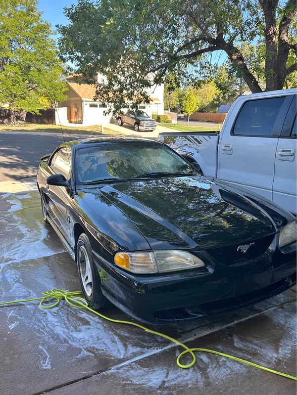 1998 Ford Mustang - Coupe 2D