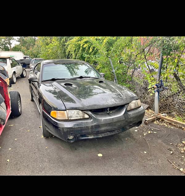 1997 Ford Mustang - Cobra SVT Coupe 2D